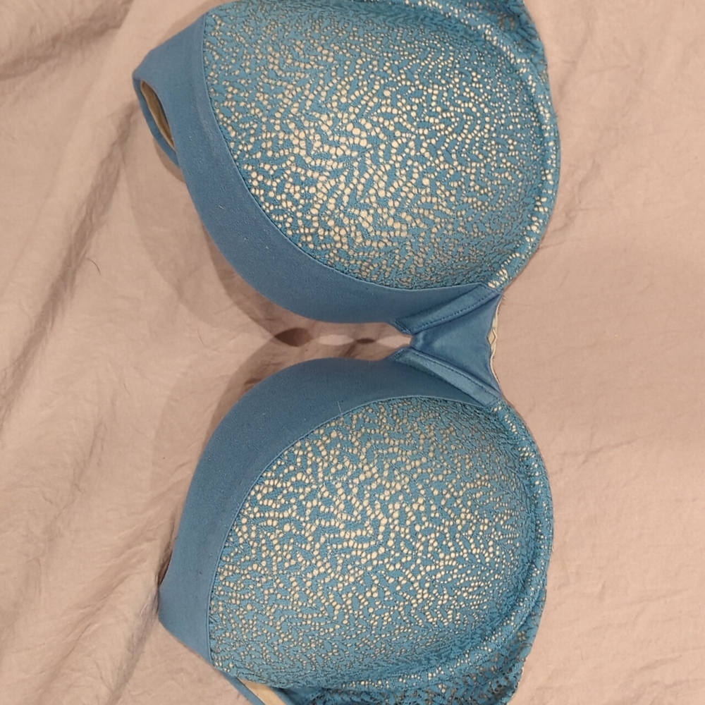 Body by Victoria 38 D